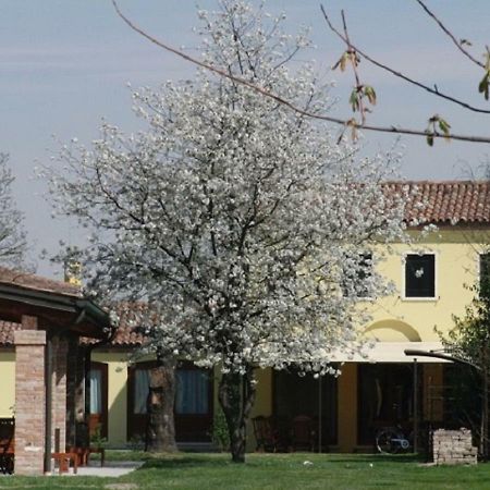 Particolari Del Brenta Apartment Oriago Di Mira Luaran gambar