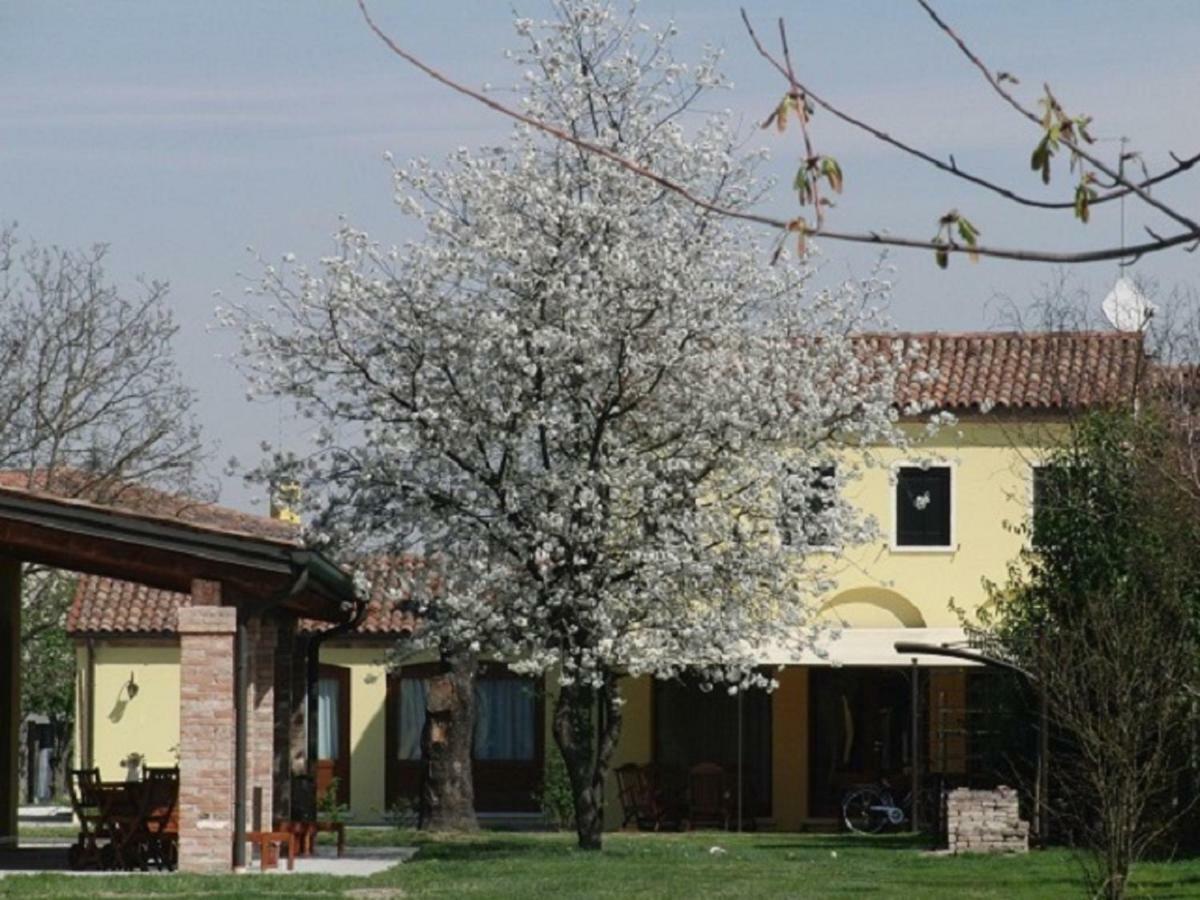 Particolari Del Brenta Apartment Oriago Di Mira Luaran gambar