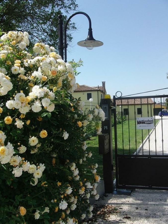 Particolari Del Brenta Apartment Oriago Di Mira Luaran gambar